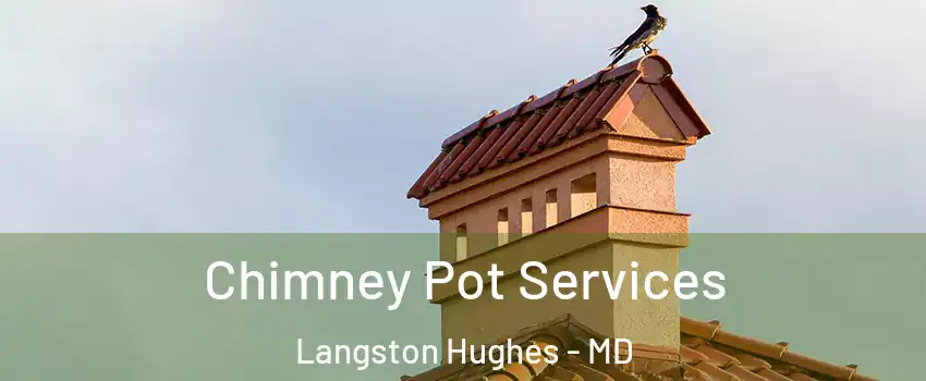 Chimney Pot Services Langston Hughes - MD