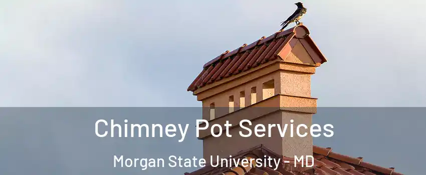 Chimney Pot Services Morgan State University - MD
