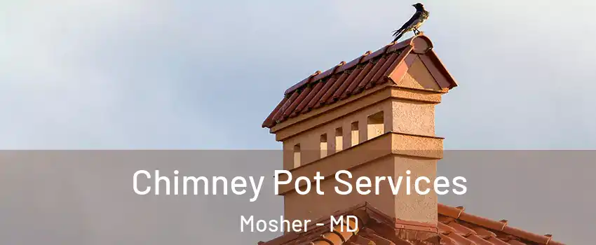 Chimney Pot Services Mosher - MD
