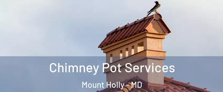 Chimney Pot Services Mount Holly - MD