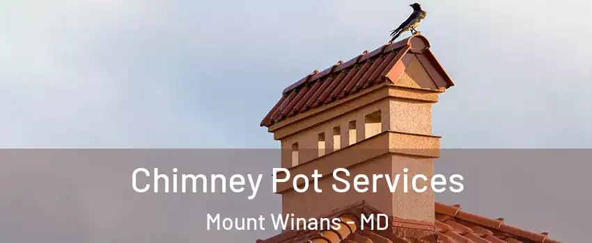 Chimney Pot Services Mount Winans - MD