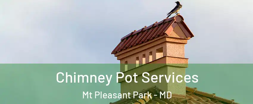 Chimney Pot Services Mt Pleasant Park - MD
