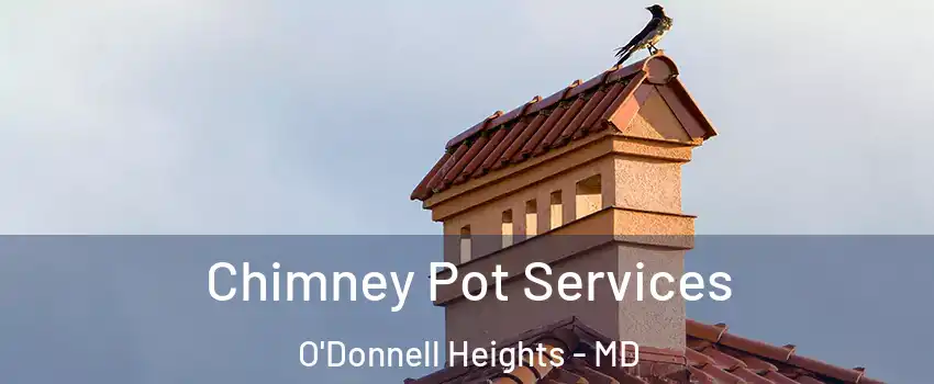 Chimney Pot Services O'Donnell Heights - MD