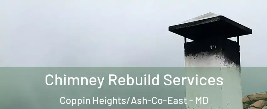 Chimney Rebuild Services Coppin Heights/Ash-Co-East - MD