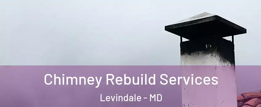 Chimney Rebuild Services Levindale - MD