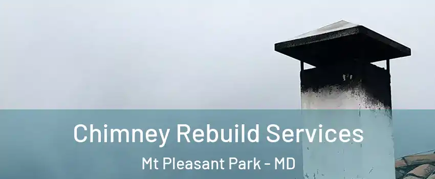 Chimney Rebuild Services Mt Pleasant Park - MD