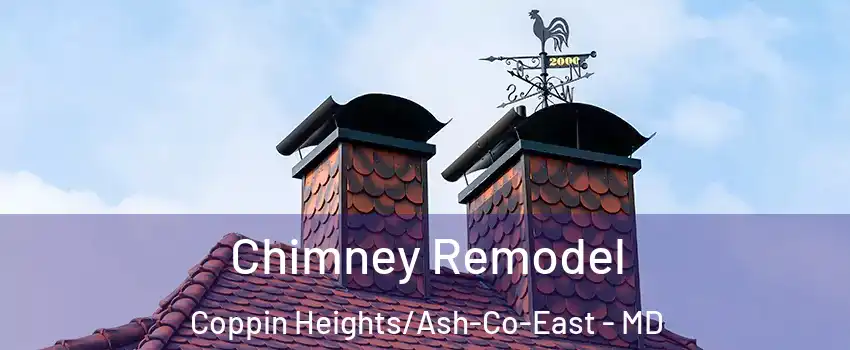 Chimney Remodel Coppin Heights/Ash-Co-East - MD