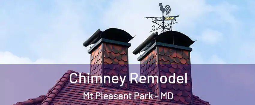 Chimney Remodel Mt Pleasant Park - MD