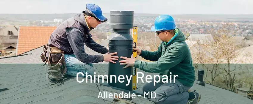Chimney Repair Allendale - MD