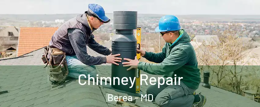 Chimney Repair Berea - MD