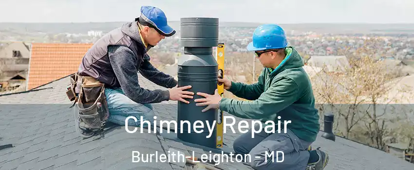 Chimney Repair Burleith-Leighton - MD