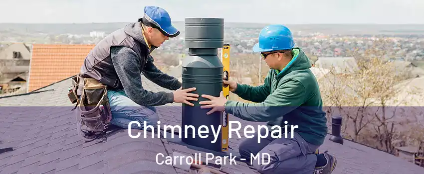 Chimney Repair Carroll Park - MD