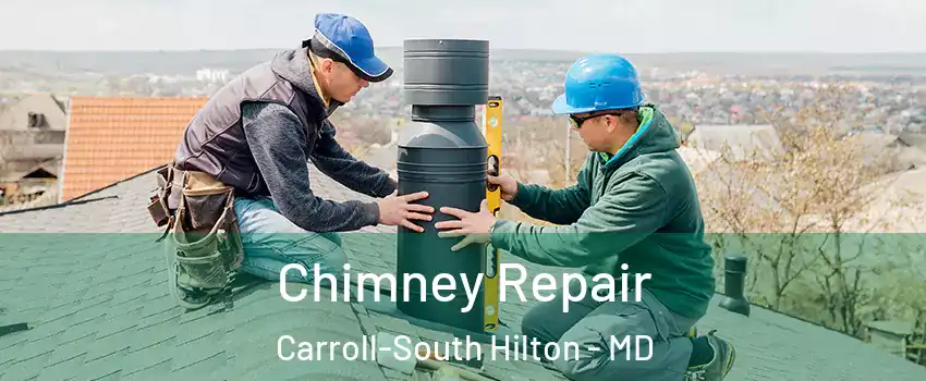 Chimney Repair Carroll-South Hilton - MD