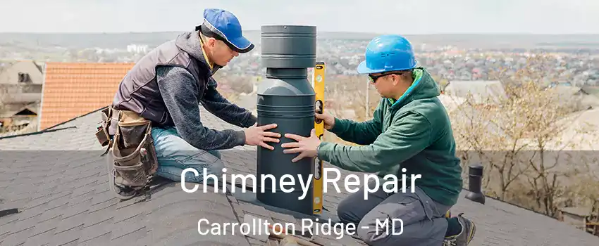 Chimney Repair Carrollton Ridge - MD
