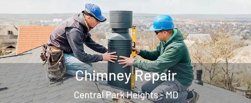 Chimney Repair Central Park Heights - MD