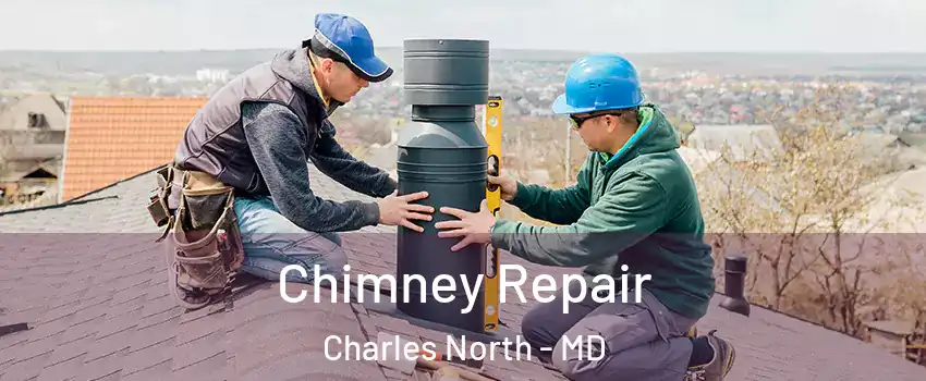 Chimney Repair Charles North - MD