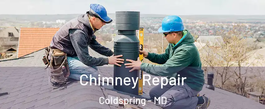 Chimney Repair Coldspring - MD