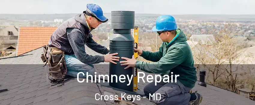Chimney Repair Cross Keys - MD