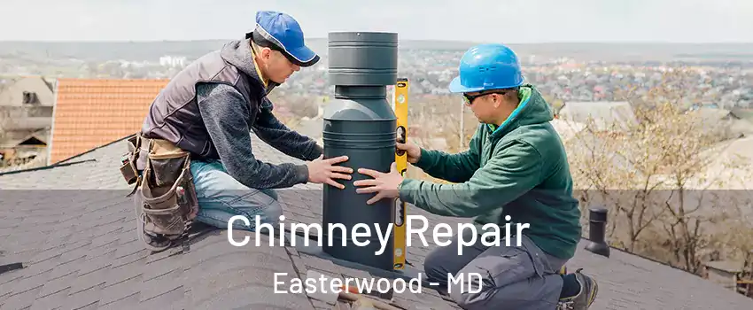 Chimney Repair Easterwood - MD