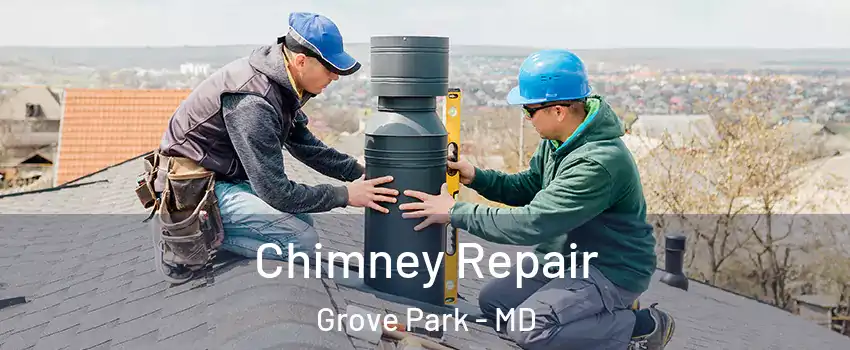 Chimney Repair Grove Park - MD