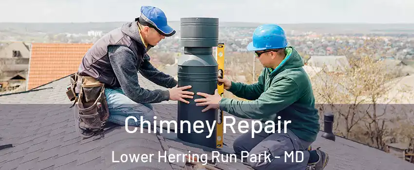 Chimney Repair Lower Herring Run Park - MD
