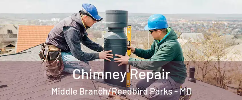Chimney Repair Middle Branch/Reedbird Parks - MD