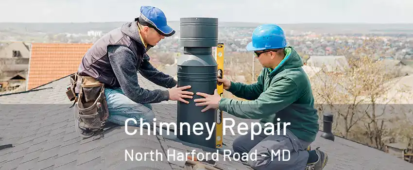 Chimney Repair North Harford Road - MD
