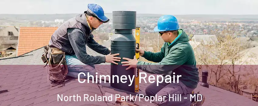 Chimney Repair North Roland Park/Poplar Hill - MD