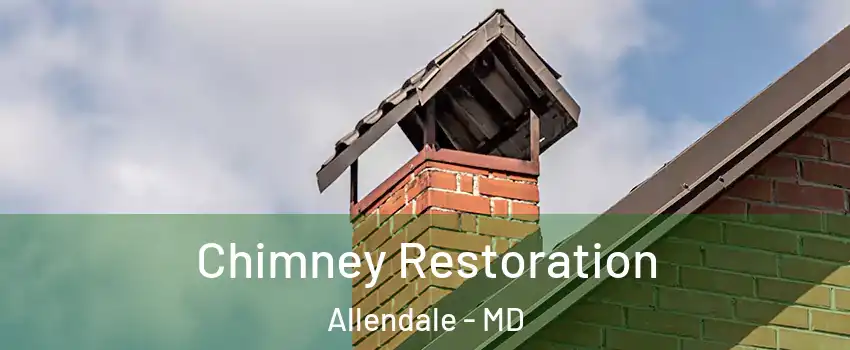 Chimney Restoration Allendale - MD