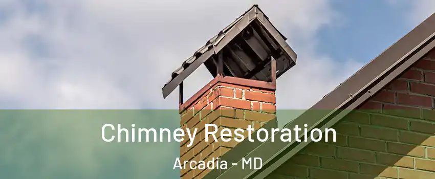 Chimney Restoration Arcadia - MD