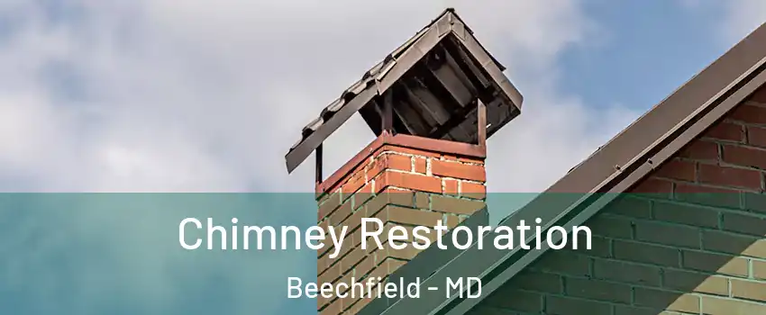 Chimney Restoration Beechfield - MD