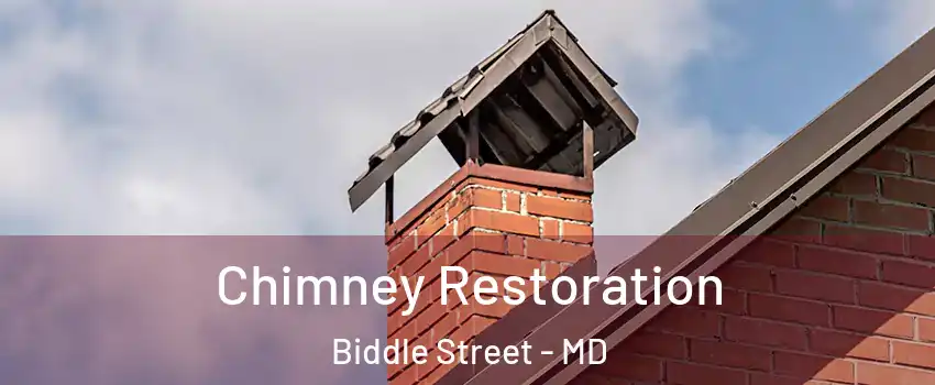 Chimney Restoration Biddle Street - MD