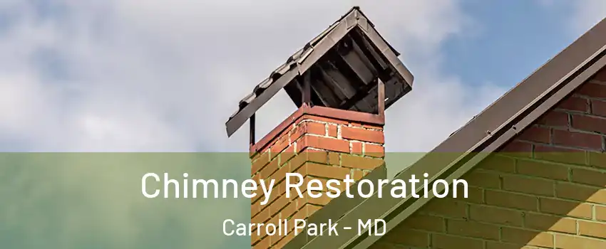 Chimney Restoration Carroll Park - MD