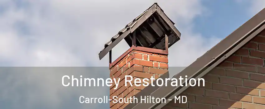 Chimney Restoration Carroll-South Hilton - MD