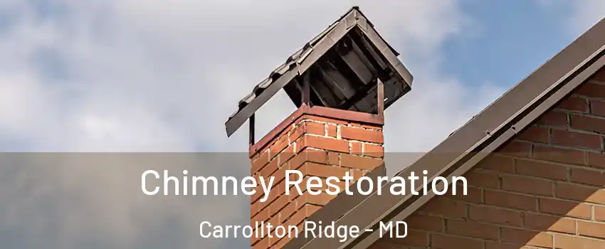 Chimney Restoration Carrollton Ridge - MD