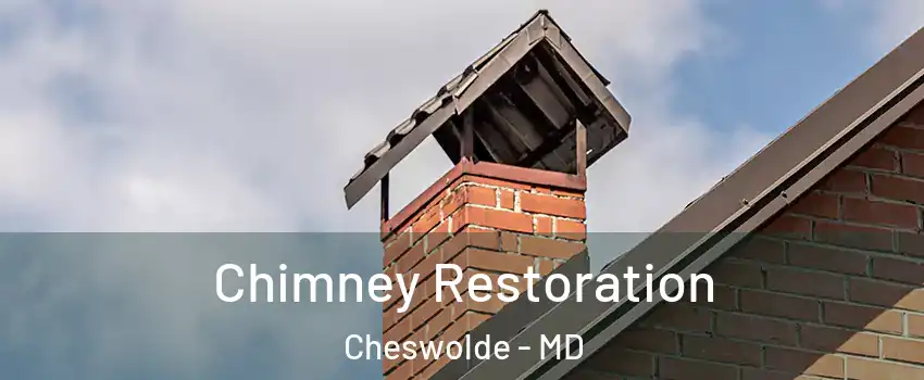 Chimney Restoration Cheswolde - MD