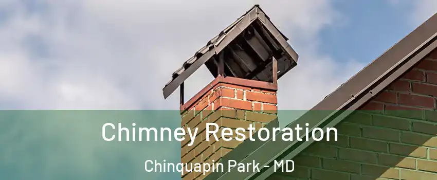 Chimney Restoration Chinquapin Park - MD