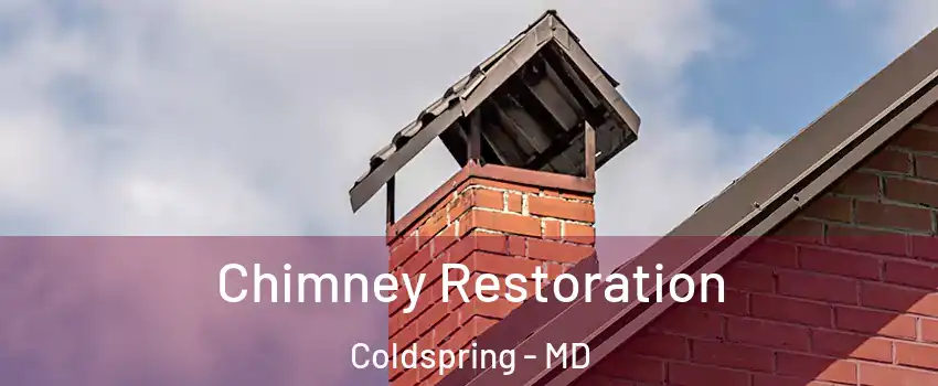 Chimney Restoration Coldspring - MD
