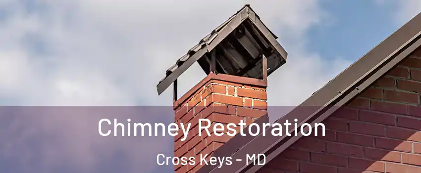 Chimney Restoration Cross Keys - MD