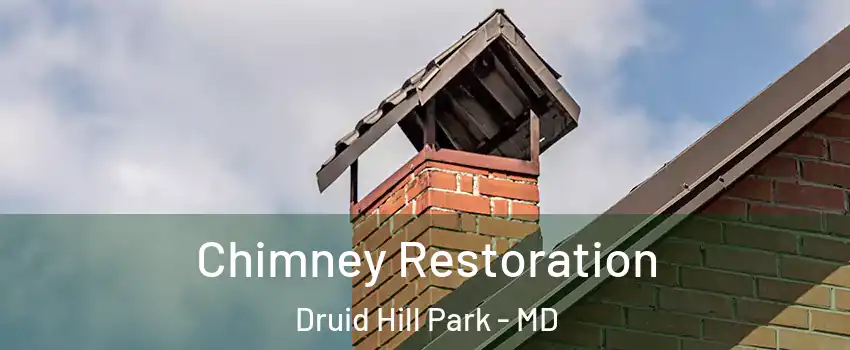 Chimney Restoration Druid Hill Park - MD