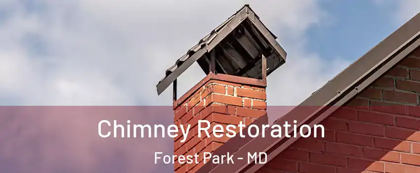 Chimney Restoration Forest Park - MD
