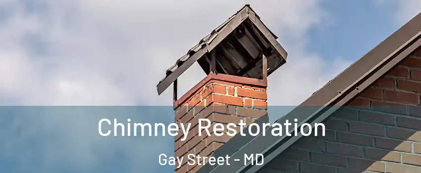 Chimney Restoration Gay Street - MD