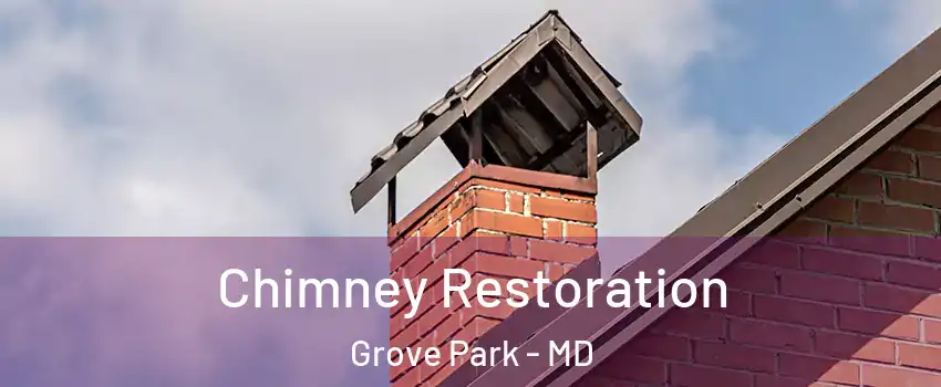 Chimney Restoration Grove Park - MD