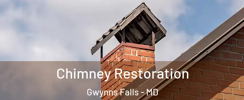 Chimney Restoration Gwynns Falls - MD