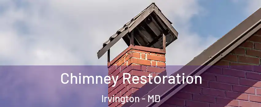 Chimney Restoration Irvington - MD