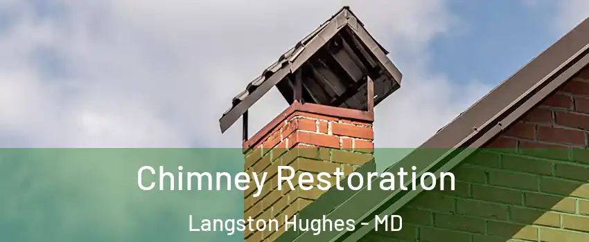 Chimney Restoration Langston Hughes - MD