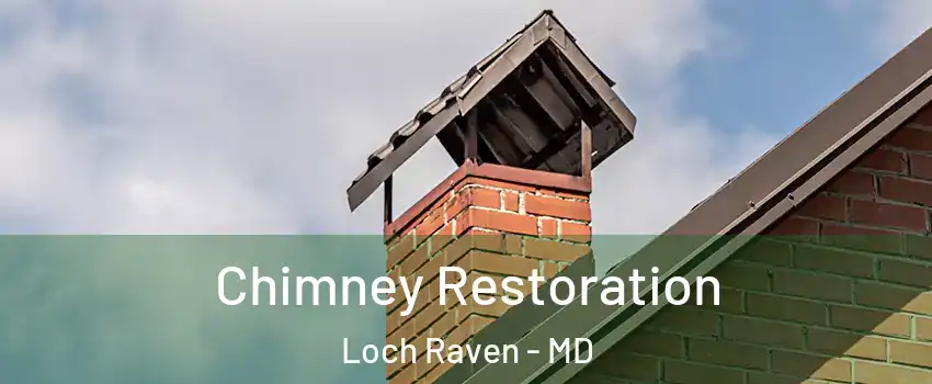 Chimney Restoration Loch Raven - MD