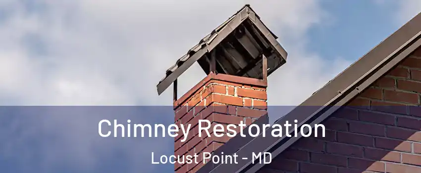 Chimney Restoration Locust Point - MD