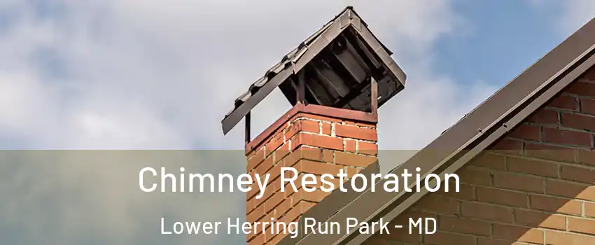 Chimney Restoration Lower Herring Run Park - MD