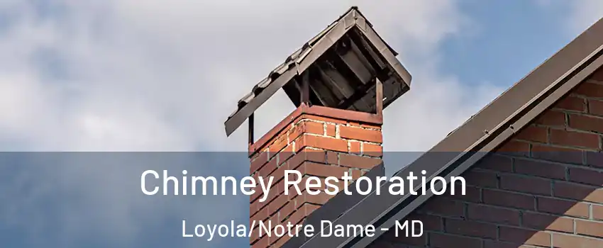 Chimney Restoration Loyola/Notre Dame - MD
